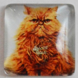 Klaaskamee Kass 15x15mm, 1 tk