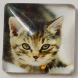 Glass cabochons Cat 15x15mm, 1 pcs