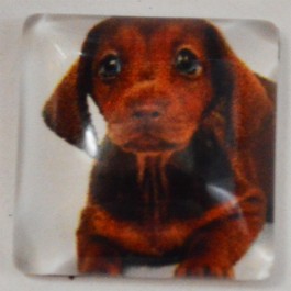 Glass cabochons Dog 15x15mm, 1 pcs