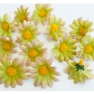 Silk Flowers 40mm yellow-green, 1 pcs