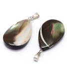  Shell pendants, with brass findings, drop, platinum color, natural, 27~28x15~17mm, 1 pcs