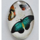 Glass cabochon 18x13mm Butterfly, 1 pcs