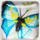 Glass cabochons Butterfly 15x15mm, 1 pcs