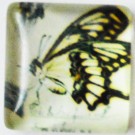 Glass cabochons Butterfly 15x15mm, 1 pcs